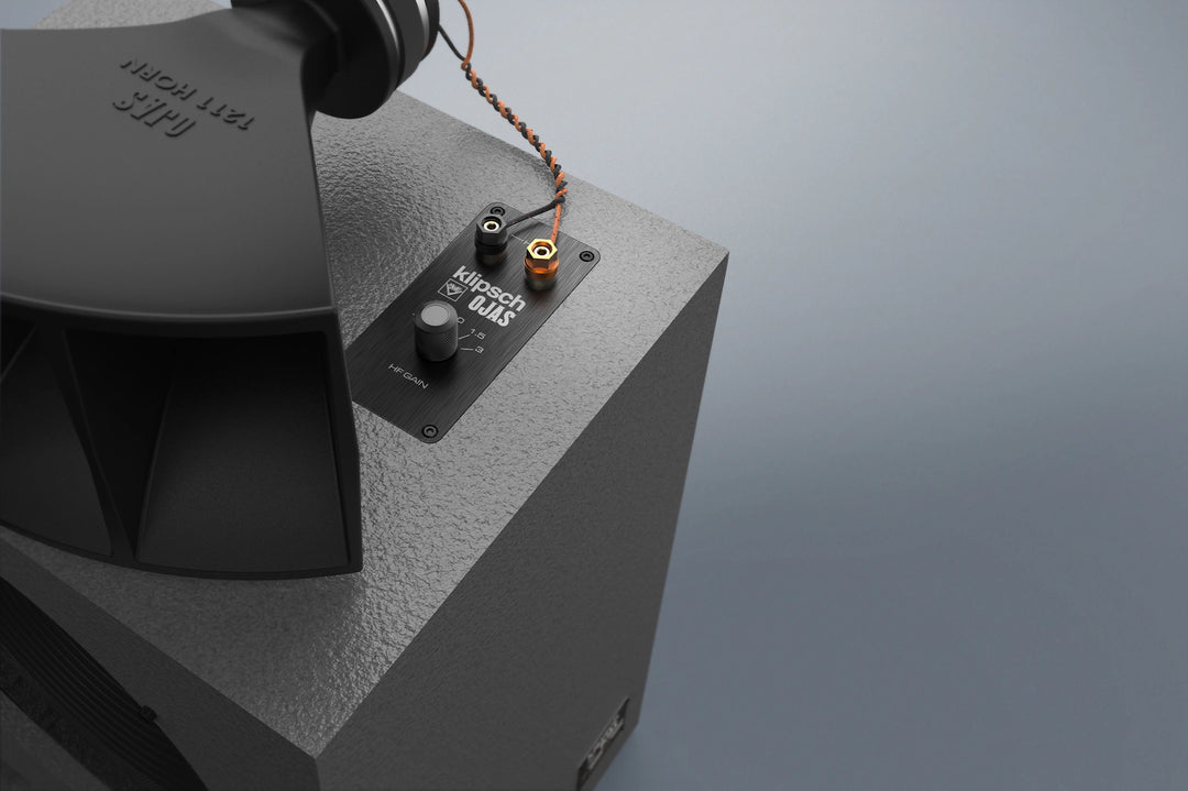 Klipsch Klipsch Ojas kO-R1 | Altavoces de suelo | pareja